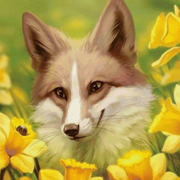 красивые рисунки лисы