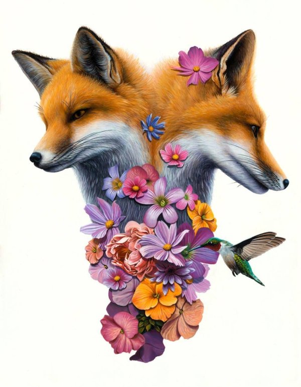 лис с цветами