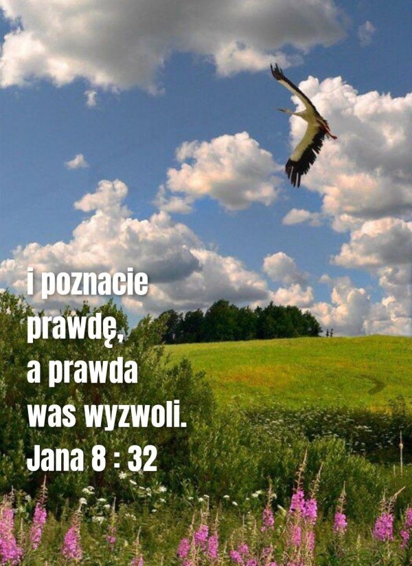 зямля пад белымі крыламі