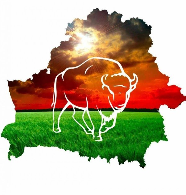 контур беларуси