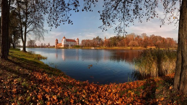 несвижский замок беларусь