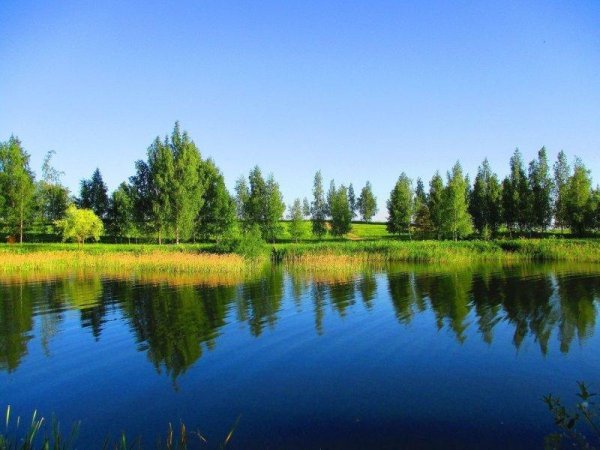 озеро витное владимирская область