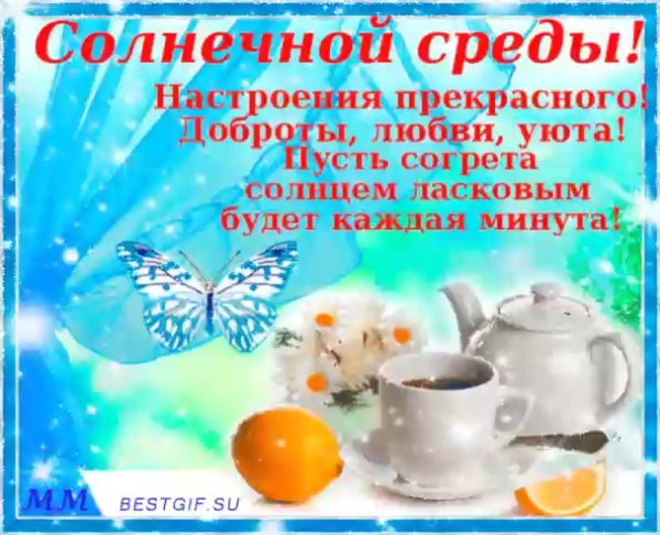 солнечной среды