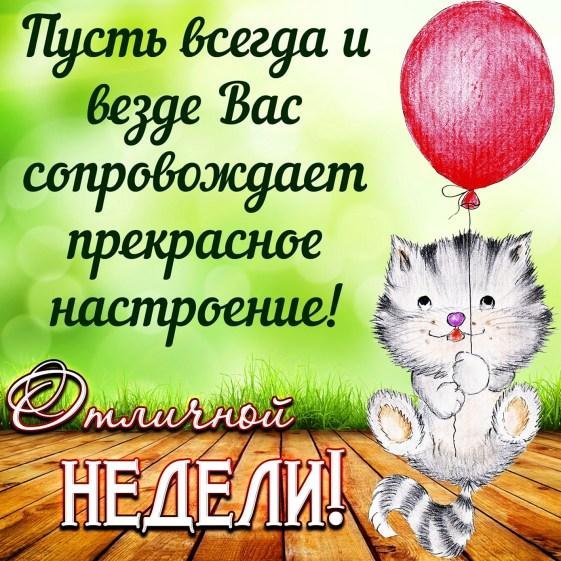 с новой неделей и хорошим настроением