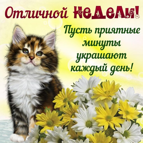 с добрым понедельником марта