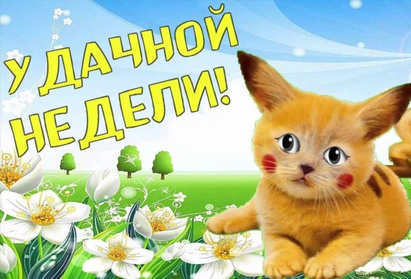 красивые открытки с понедельником