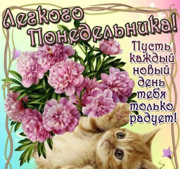 поздравление с понедельником
