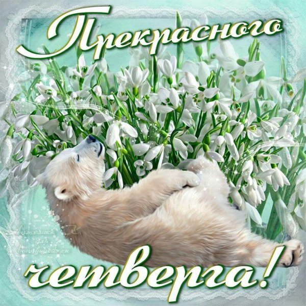 весеннего четверга