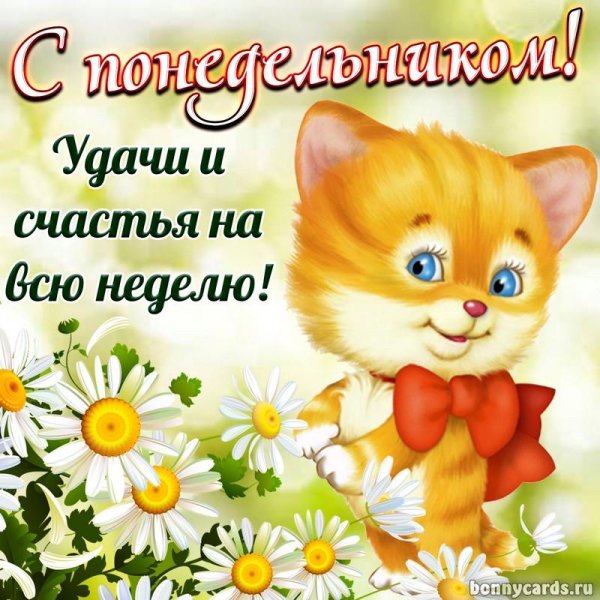 поздравление с понедельником