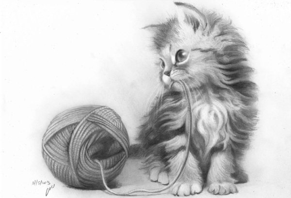 котята карандашом