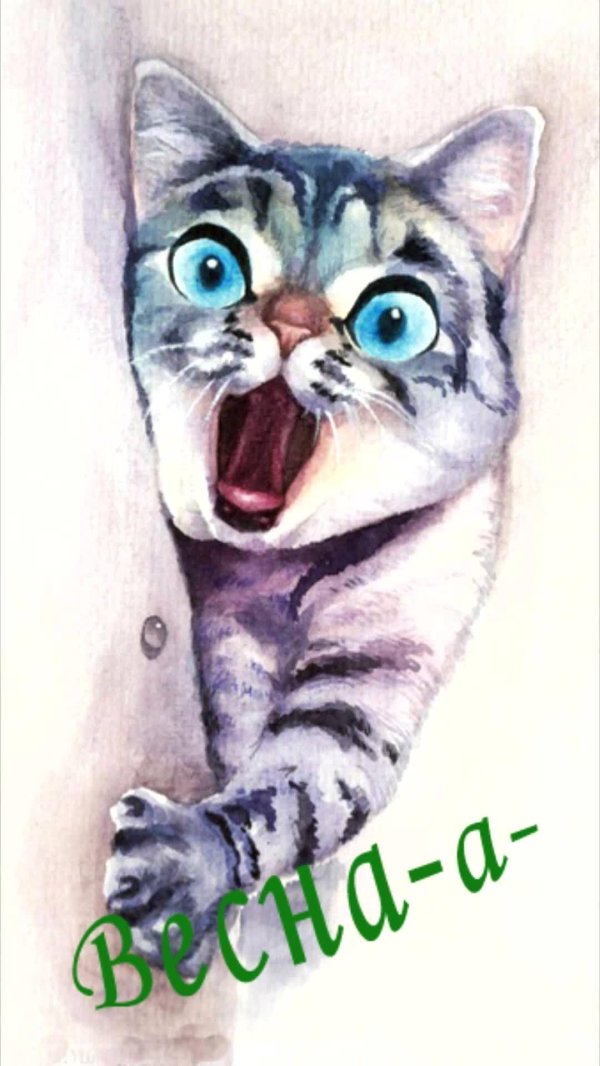 коты акварелью