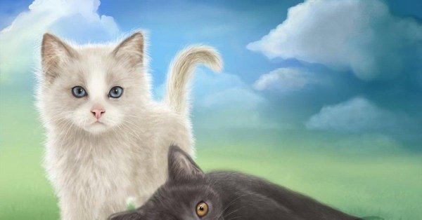 рисунки котиков