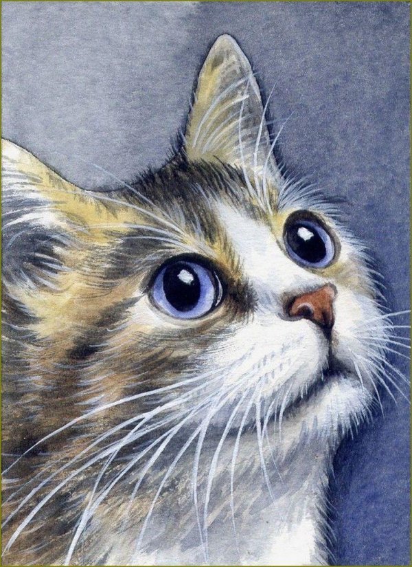 акварельные котыамериканская художница elena mezhibovsky