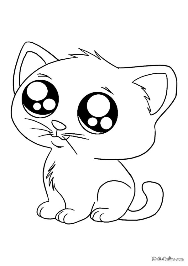 раскраска котенок