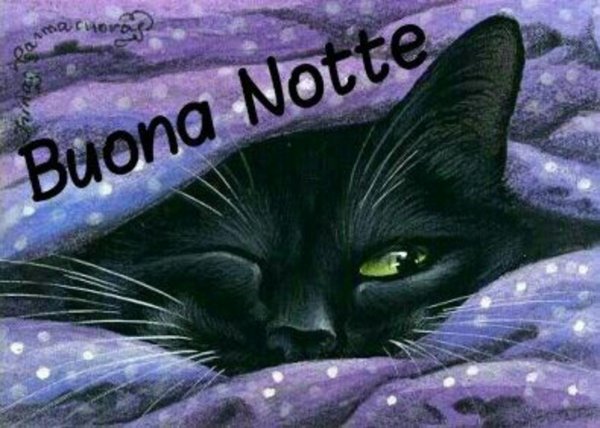 buonanotte buongiorno