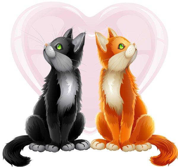 влюбленные кошечки