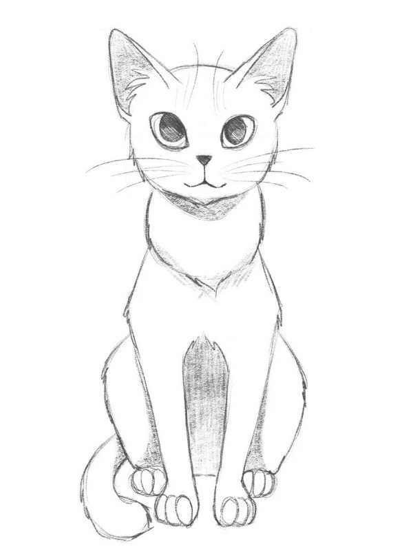 рисунок котиков