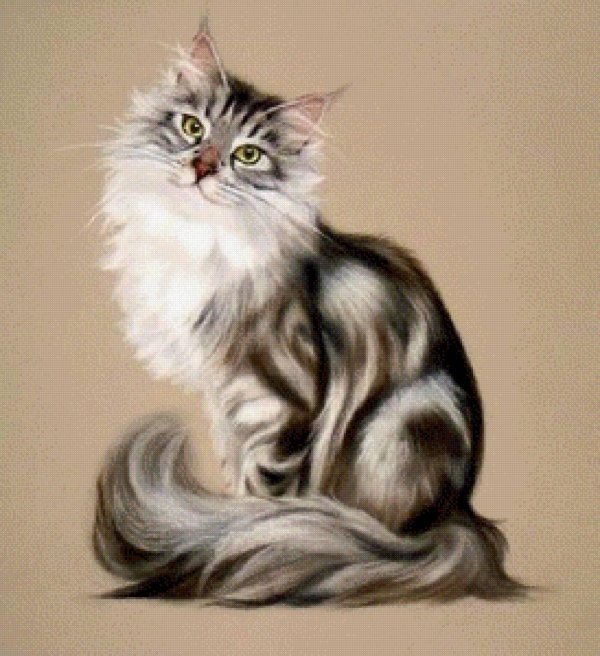 портрет кошки