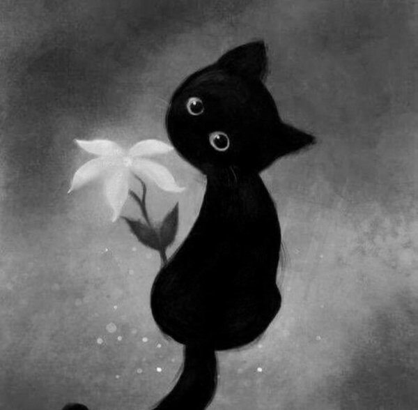 черные коты