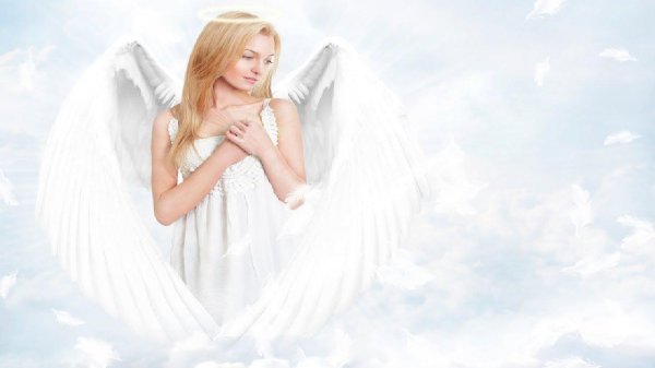 белые ангелы