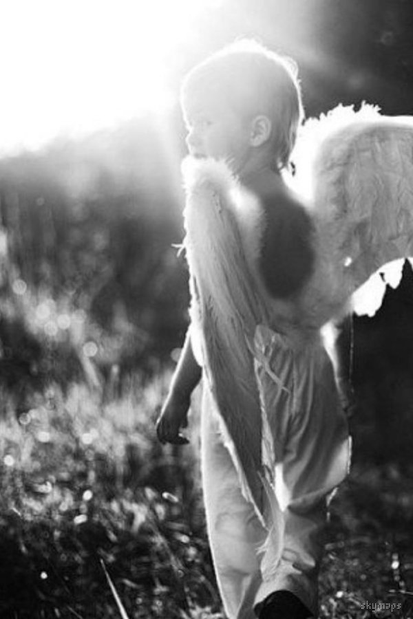 маленькие ангелы