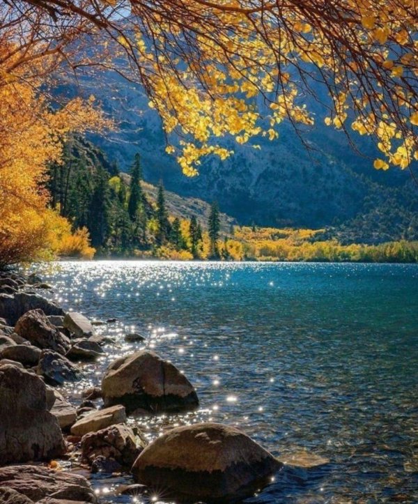 золотая осень горный алтай