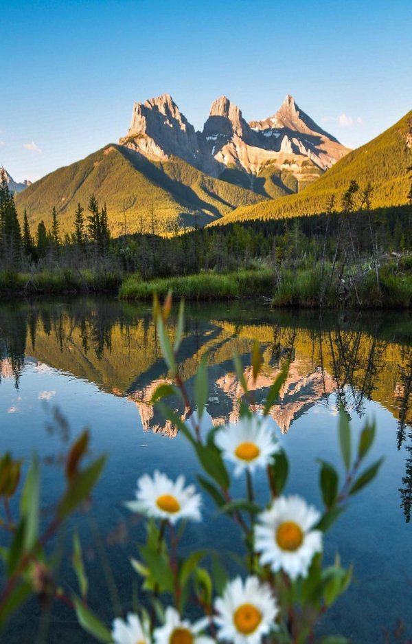 красота природа