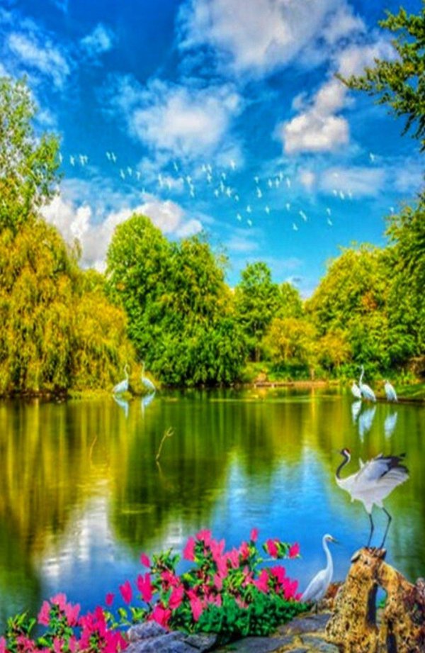 природа красивая