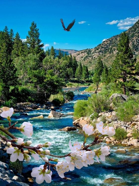 горная река