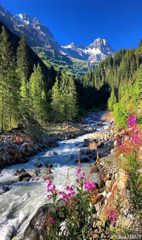 табиат манзараси