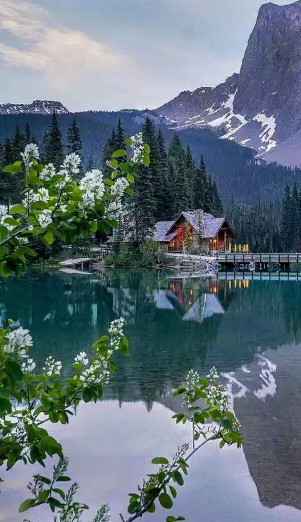 лес горы штат монтана домик у озера