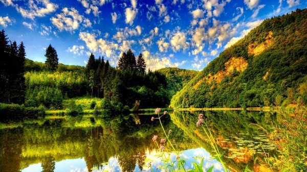 природа в хорошем качестве