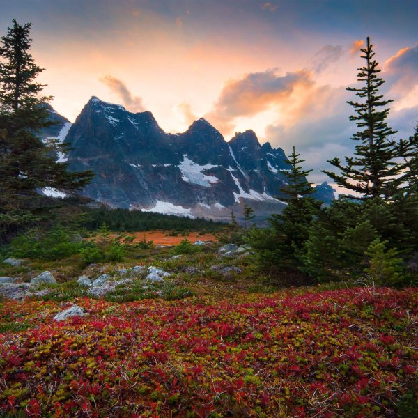 красивейшие пейзажи