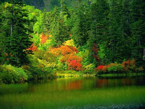 осень ранняя