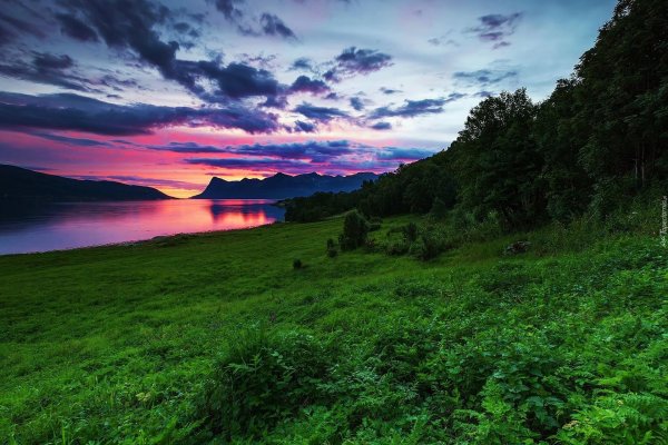 природа красивая