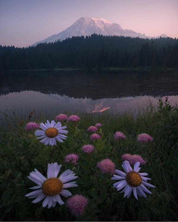 эстетика природа