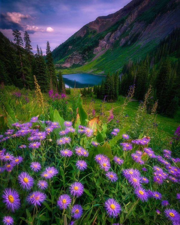 прекрасный мир природы