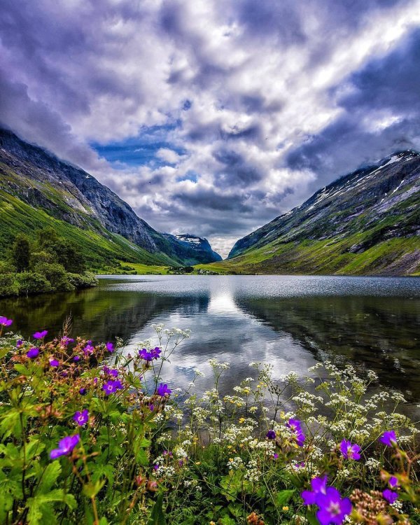 норвегия альпийские луга