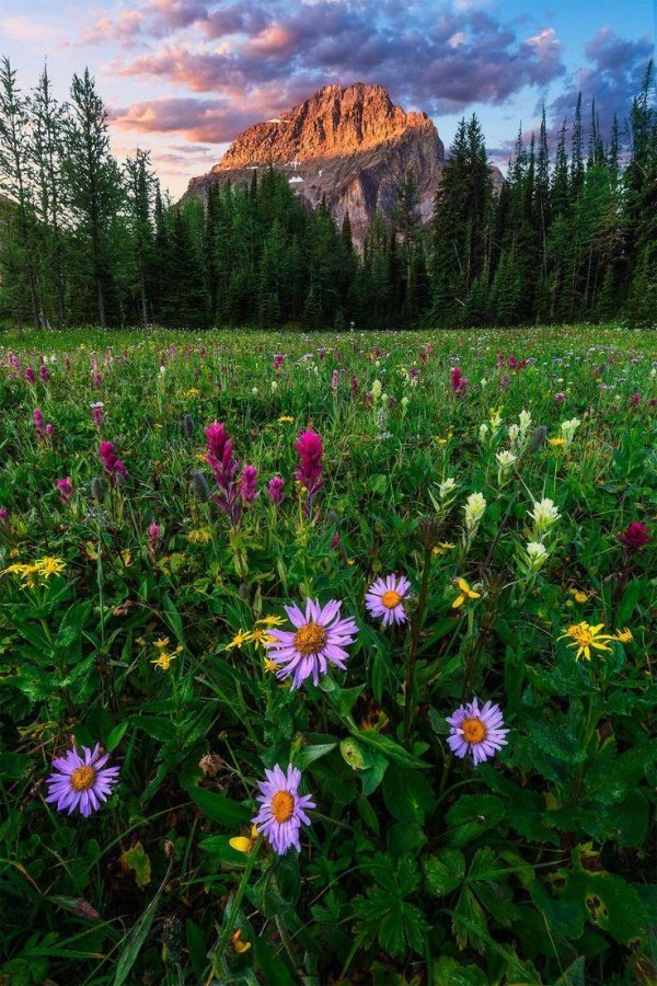 красота природа