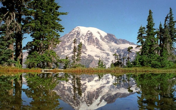 mount rainier washington