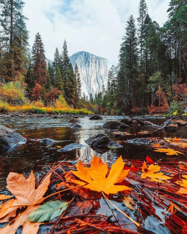 осенняя красота природы