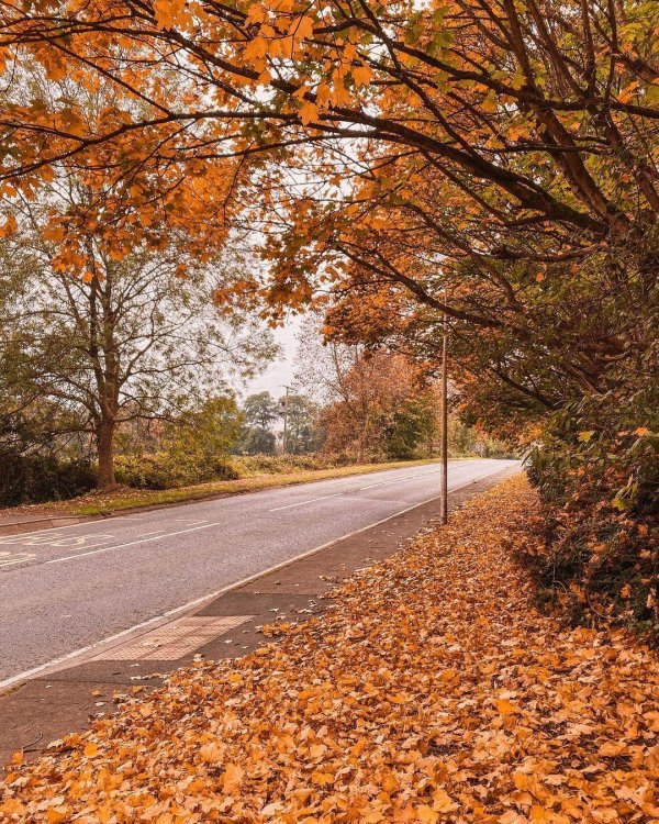 осенняя дорога