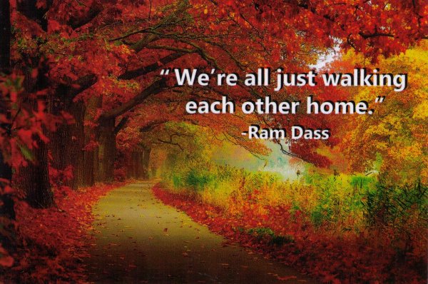 walk each other home