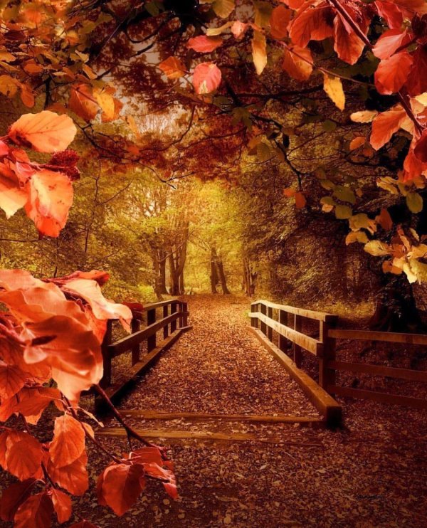 прекрасной осени