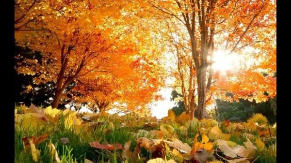 сентябрь природа