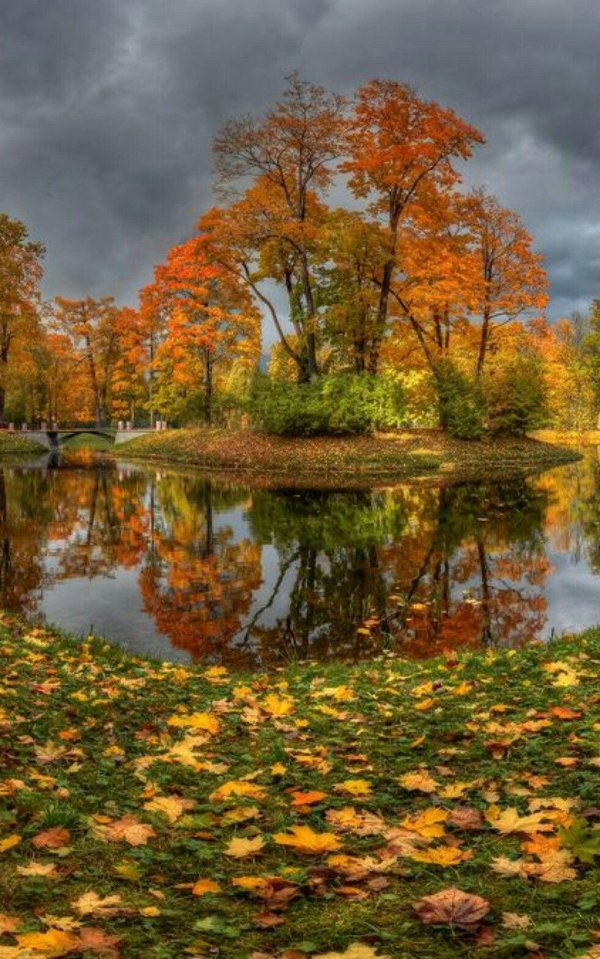 осенние пейзажи