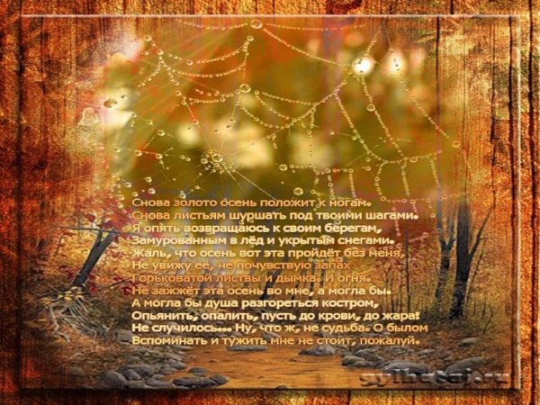 стихи осени