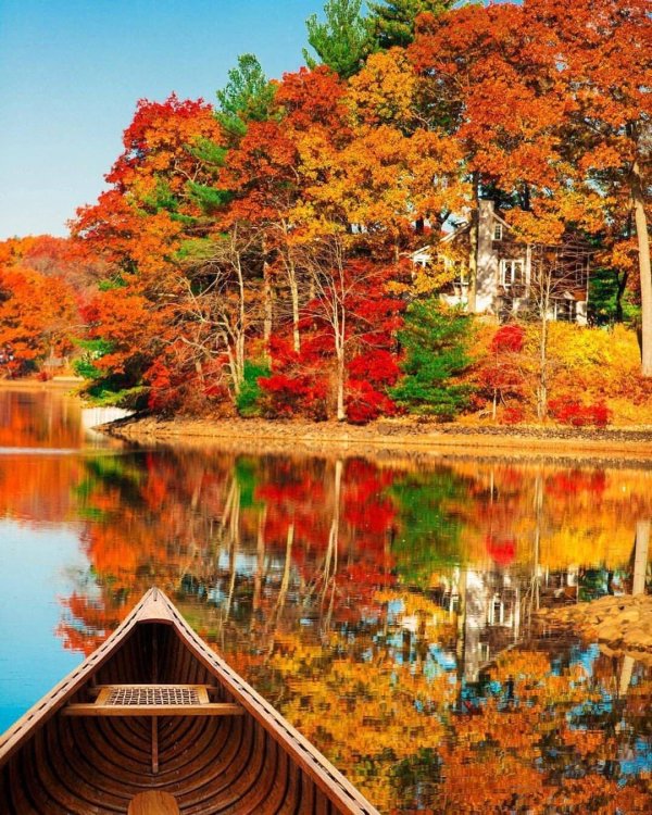 краски осени