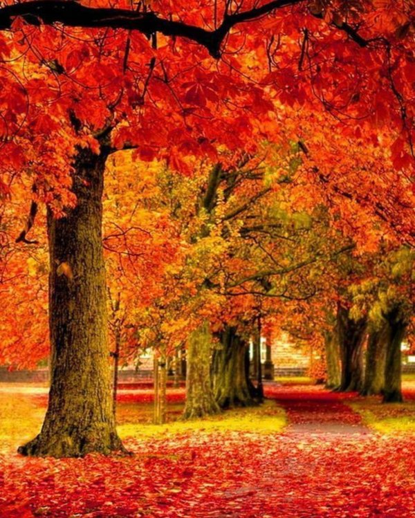 осенние пейзажи