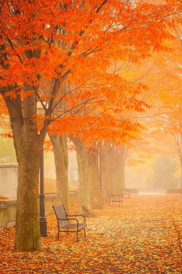 осенние пейзажи